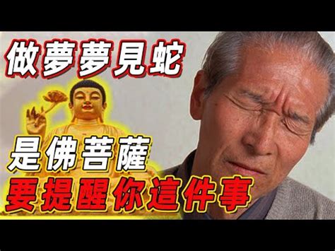 看到蛇的徵兆|【看見蛇代表什麼】看見蛇代表什麼？民俗專家揭露傳統文化中的。